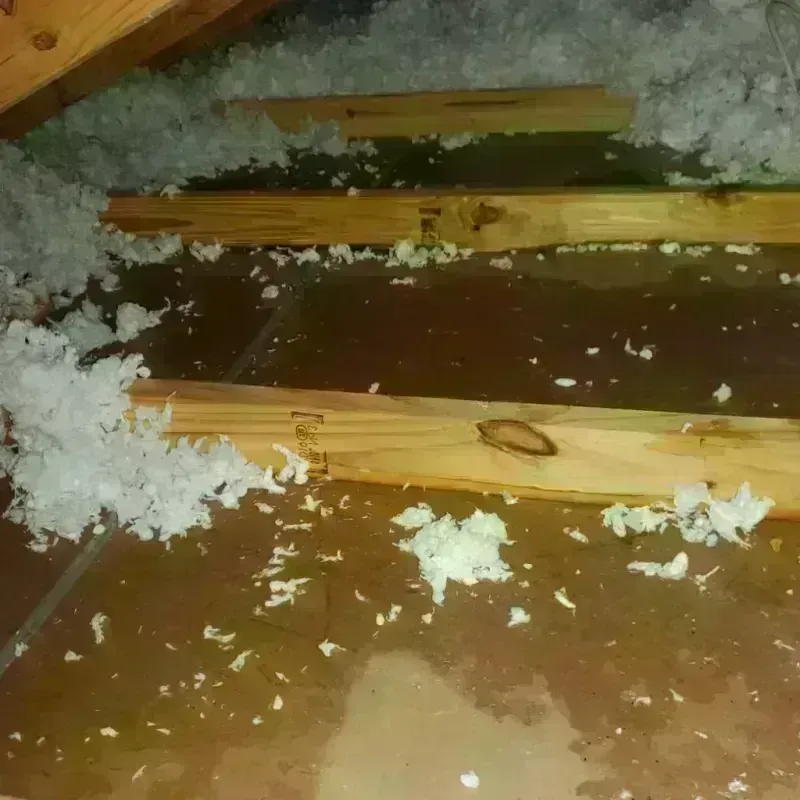 Attic Water Damage in Jefferson County, TN