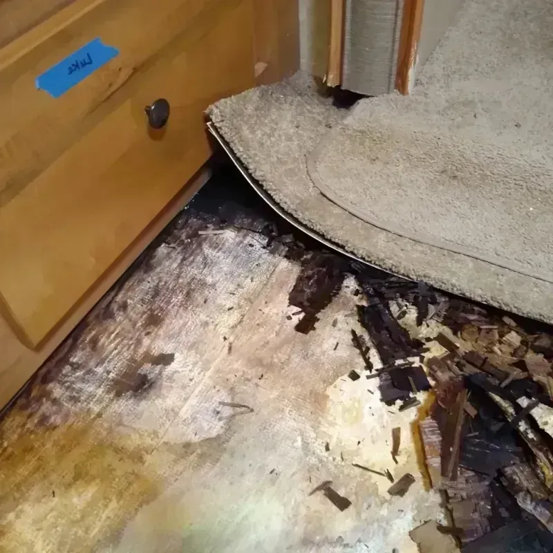 Best Wood Floor Water Damage Service in Jefferson County, TN